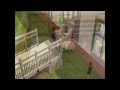 SIms 3 Грустная история 