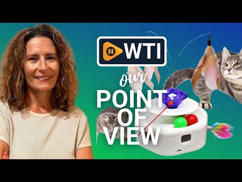 4-in-1 Rechargeable Motion Activated Cat Laser Toy - WTI product video review
