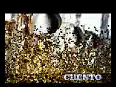 Eritrea music Dika koyne mefeterey