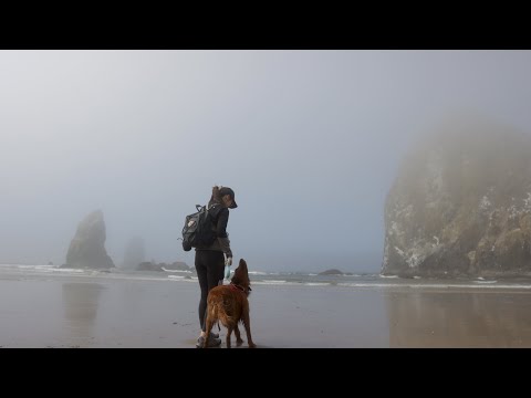 Road Trip | Oregon Coast, Northern California, & Washington