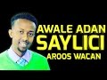 AWALE ADAN (SAYLICI) 2017 HD BEST SOMALI MUSIC
