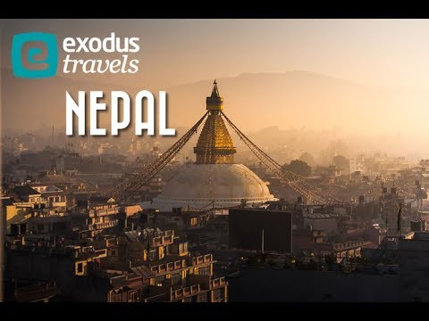 Exodus Trips