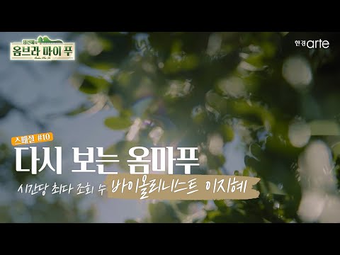 10회