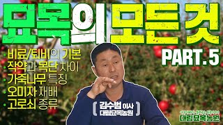 나무 농사의 모든 것! 나무식재와 종류 및 비료의 활용 편입니다 [대림묘목농원_묘목 특강 part.5]