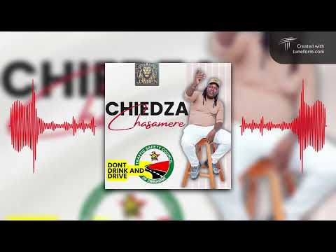 Chief Shumba Hwenje - Usavhunduka ( Official Audio )