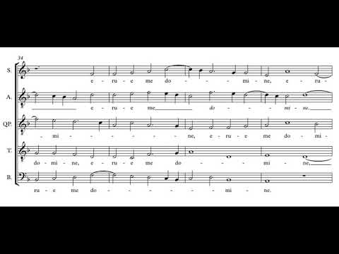 Gombert: Tribulatio cordis mei - Beauty Farm