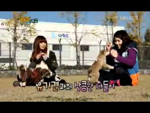 111105 INFINITE+A PINK+MBLAQ+4 MINUTE+Secret 'Birth of a Family 'Next Week Preview