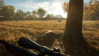 Купить The Hunter: Call of the Wild