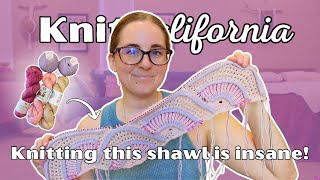 We need to talk about Steven West! - Knit California Podcast