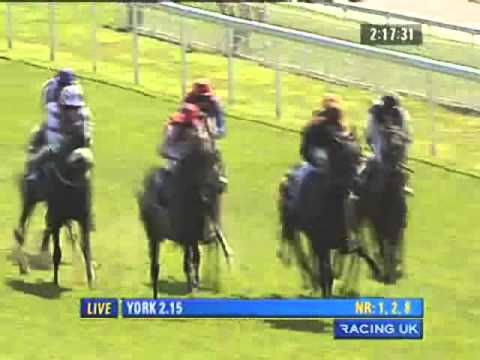 York Ebor Festival 2010 - Sportingbet.com Acomb Stakes