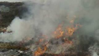 preview picture of video 'Grass Fire at Kavholmen, Norway'
