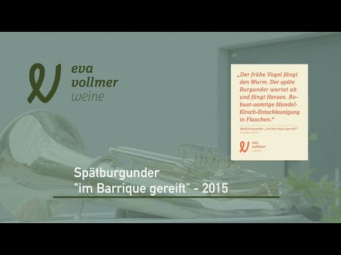 Fernprobe - Spätburgunder Barrique Trocken 2015