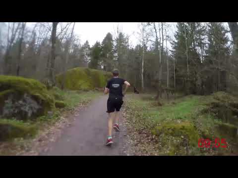 Närkes Terräng-DM (korta) 2018 - 4 km (Löparperspektiv, 2x)