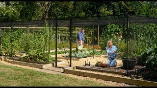 Steel Fruit Cage - Why it's most professionals' choice.