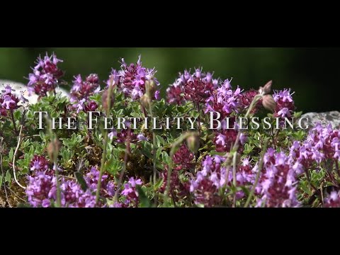Click to Watch the The Fertility Blessing video