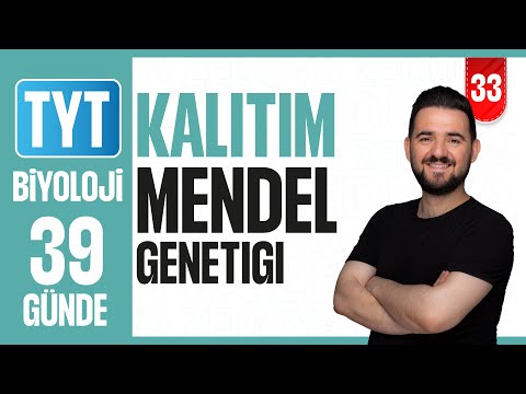 Kalıtımla İlgili Kavramlar Gamet Çeşiti Bulma | 39 GÜNDE AYRINTILI TYT BİYOLOJİ KAMPI 2026-2027 | 33