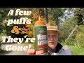 Wasps How To Kill Wasp A Nest