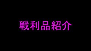 【ゆっくり】博麗神社例大祭の戦利品紹介戦利品紹介