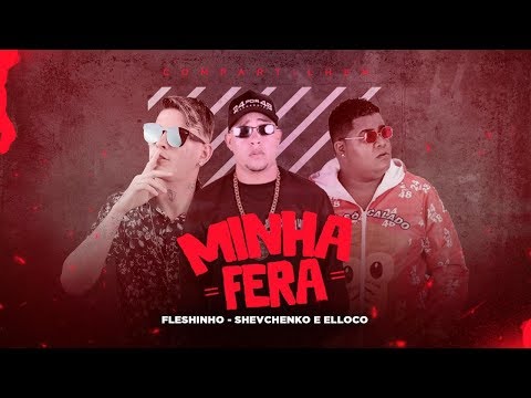 SHEVCHENKO E ELLOCO, MC FLESHINHO - VAI MINHA FERA