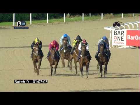 Irish EBF Barrier Trials 05 September 2023 - Batch 09