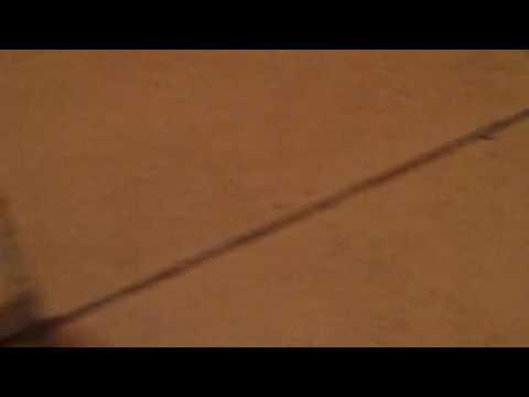 Invatam sa mergem  cu penny board! !!!!!!!