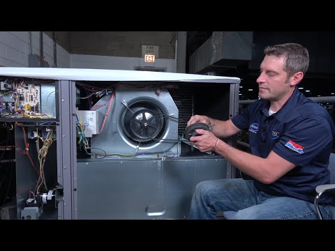 Fan Belt Alignment & Tension