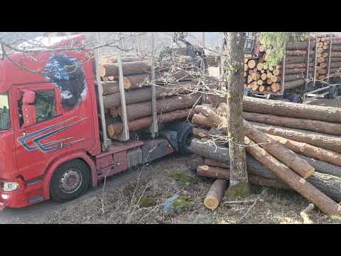Timmerbilen hämtar ett rejält lass med Fura