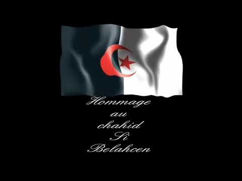 الله يهديك يا واد الشولي ...أغنية بدوية عن الثوار ...الله يرحم الشهداء