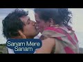 Sanam Mere Sanam Kasam Hum 1991 Govinda Shilpa Alka Yagnik Amit Kumar Romantic Songs