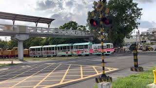 @新營糖廠~悠閒的午後時光(五分車入庫休息