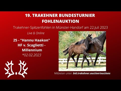 25 - Hannu Haakon - HF v. Scaglietti - Millennium *02.02.2023