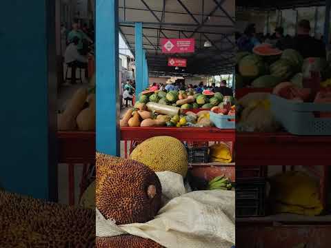 FEIRA DE SANTA INÊS BAHIA #shorts #feira #santainês #bahia #turismo #cultura #entretenimento #cidade