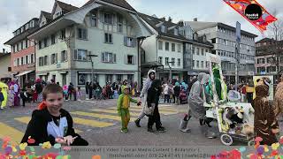 Swisstubers (Schweizer YouTube Kanäle)