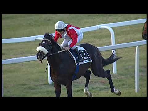 2018-01-21 Corsa 6 metri 2000 Premio Ines e Sebastiano Bottanelli