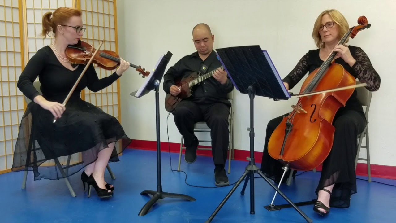Promotional video thumbnail 9 for Sweetwater Strings