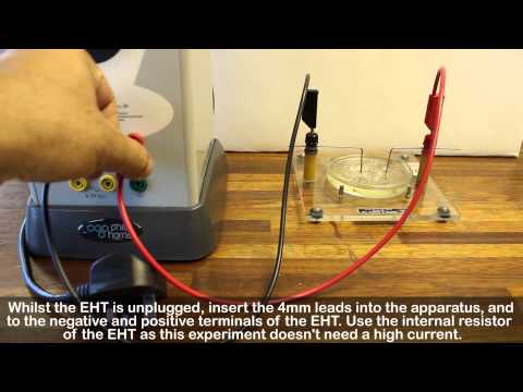 Electric field demo - with castor oil and semolina seeds