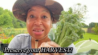 Are You Preserving What You HARVEST?