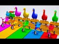 5 Giant Duck Cartoon Cow Elephant Tiger Dinosaur Paint Wild Animals Crossing Fountain Animation