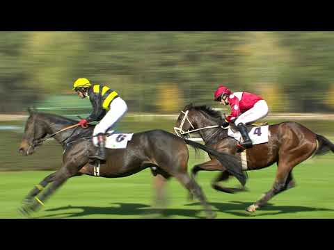 PE, 13. 10. 2018, 1. dostih - Cena amatérů - Fegentri – Memoriál Josefa Jančara
