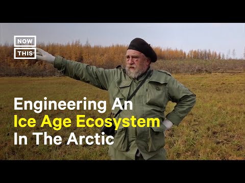 Father-Son Duo Hopes to Slow Permafrost Melt in Arctic