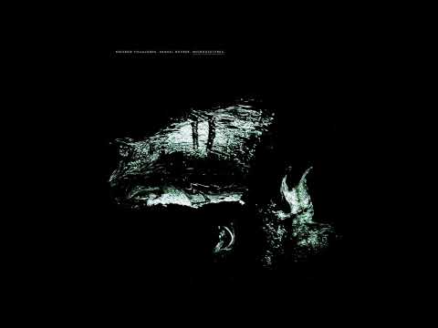 Ricardo Villalobos. Samuel Rohrer. LOBULE. from the album MICROGESTURES (AMEL-LP722)