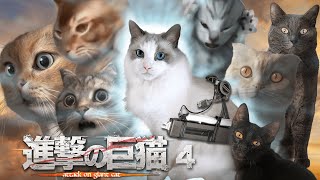 [閒聊] 進擊的巨貓