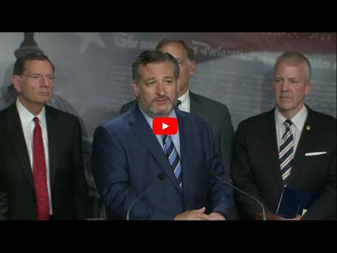 Sen. Cruz: South Texas COVID Rates are Rising Because of the Biden-Harris Border Crisis