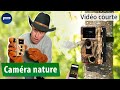 Vidéo