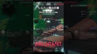 シルバー帯の日常#11 #Shorts