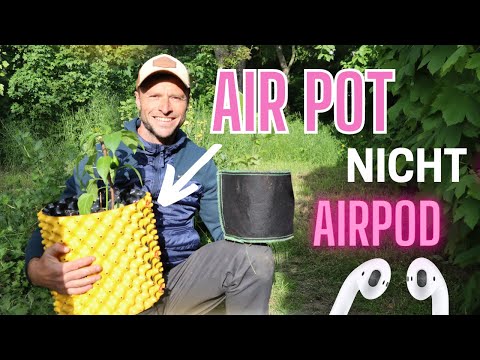 Use plant bags & air pots CORRECTLY!
