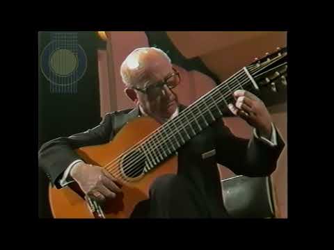 𝘽𝙧𝙞𝙖𝙣 𝘽𝙤𝙧𝙪'𝙨 𝙈𝙖𝙧𝙘𝙝 ♫ 𝘕𝘢𝘳𝘤𝘪𝘴𝘰 𝘠𝘦𝘱𝘦𝘴 ♪ guitar • 1988 • 4K • denoised