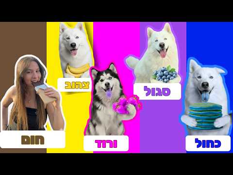 Eat one color for 24 hours!!