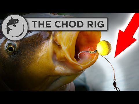 How To Tie A Chod Rig for Carp Fishing