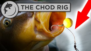 Download lagu How To Tie A Chod Rig for Carp Fishing mp3